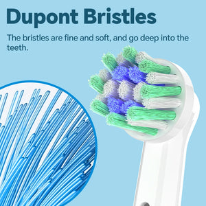 Oral B Cross Action Heads For Adults Deep Clean Replacement