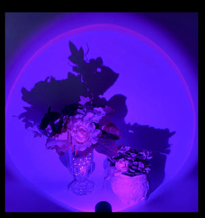 LED Sunset Lamp Nightlights USB Projector Birthday Party Decoration Mood Lights For Bedroom Living Room Wall Photography