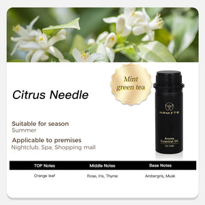 Namstecar perfume fragrance oil by Hot Trend Vault in 100ml bottle with four 5ml scent samples for home diffuser use.