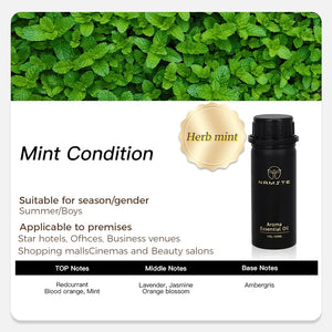 Namstecar perfume fragrance oil by Hot Trend Vault in 100ml bottle with four 5ml scent samples for home diffuser use.