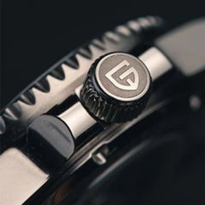 Luxury PAGANI DESIGN GMT men's automatic watch with sapphire crystal, 40mm case, in a sleek black dial.