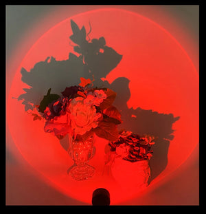 LED Sunset Lamp Nightlights USB Projector Birthday Party Decoration Mood Lights For Bedroom Living Room Wall Photography