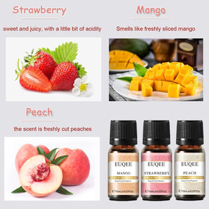 Set of six 10ml EUQEE fragrance oil bottles for men and women by Hot Trend Vault, featuring colorful labels and sleek glass bottles.