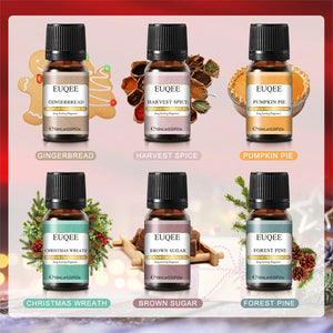 Set of six EUQEE fragrance oils for men and women in 10ml bottles by Hot Trend Vault, showcasing colorful bottles on a white background.