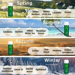 Hot Trend Vault Namste 100ml pure plant essential oil air freshener bottle for hotel and home use, with a sleek glass container and natural aroma