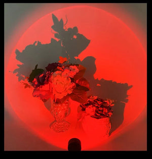 Led USB Sunset Lamp Projector Home Party Decor Night Light Atmosphere Neon Lights For Bedroom Living Room Wall Photography