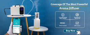 Namstecar perfume fragrance oil 100ml for home diffuser with four 5ml scent samples, by Hot Trend Vault.