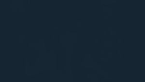 Elegant Evening Dresses Women Elegant High Collar Floor Length Simple Prom Dress 2025 Pleated Long Sleeves A Line Party Gowns