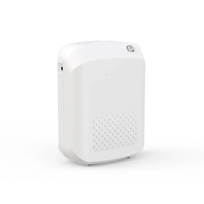 Wall-mounted LuxPerfume Essential Oil Diffuser by Hot Trend Vault, 400ml capacity, designed for hotel use with sleek modern style.