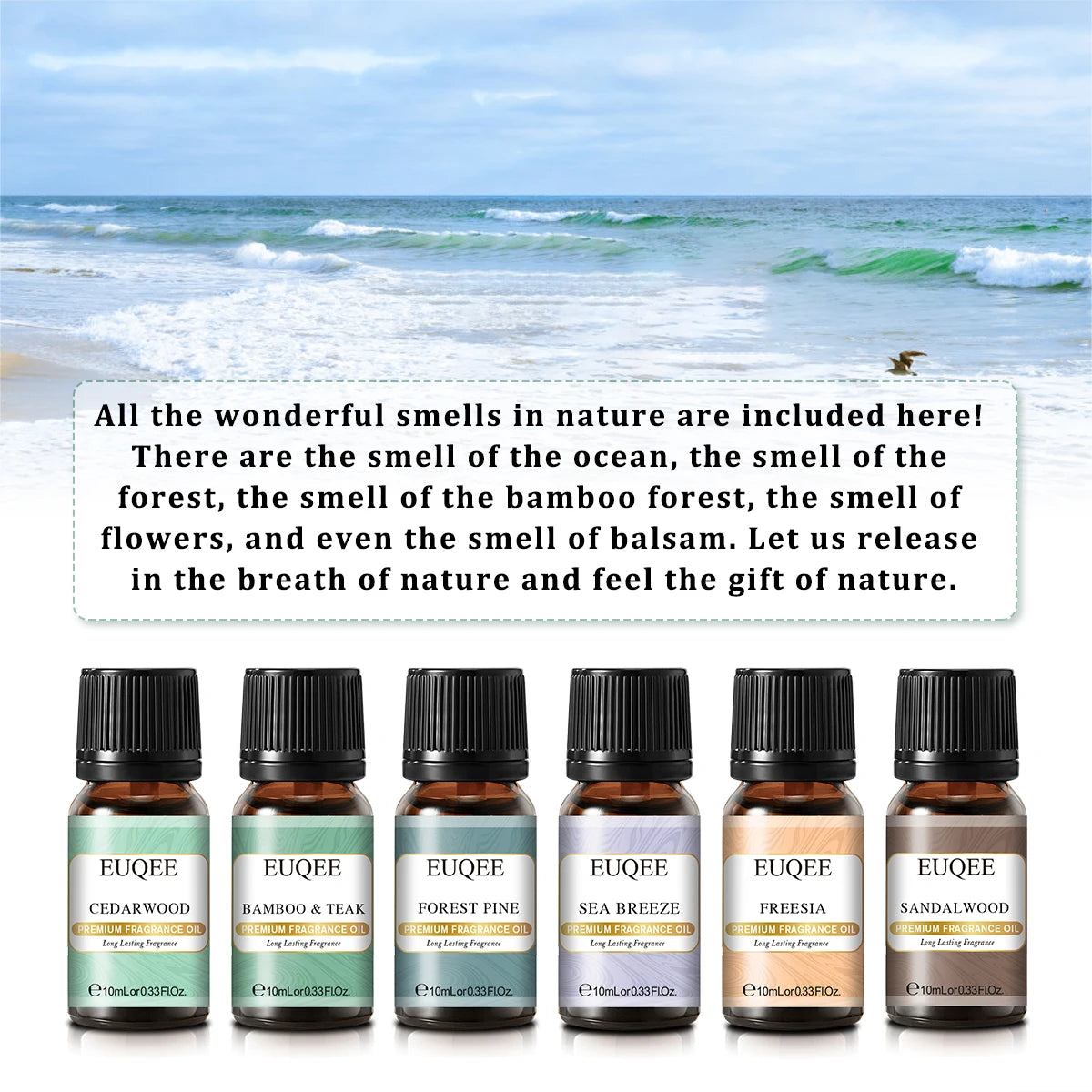 Six 10ml bottles of EUQEE fragrance oils for men and women by Hot Trend Vault, displayed in a neat arrangement.