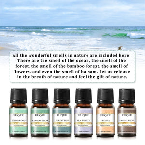 Six 10ml bottles of EUQEE fragrance oils for men and women by Hot Trend Vault, displayed in a neat arrangement.
