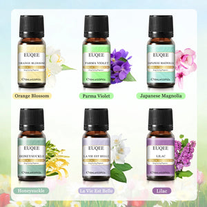 Set of six 10ml EUQEE fragrance oil bottles for men and women by Hot Trend Vault, displayed in clear bottles with labels.