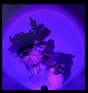 Led USB Sunset Lamp Projector Home Party Decor Night Light Atmosphere Neon Lights For Bedroom Living Room Wall Photography